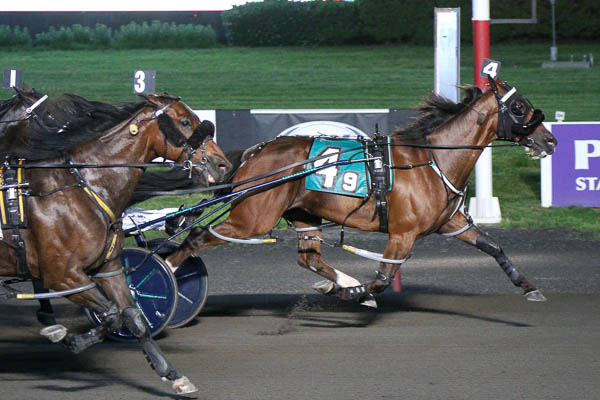 Oakwood Ardan IR sizzles at Big M