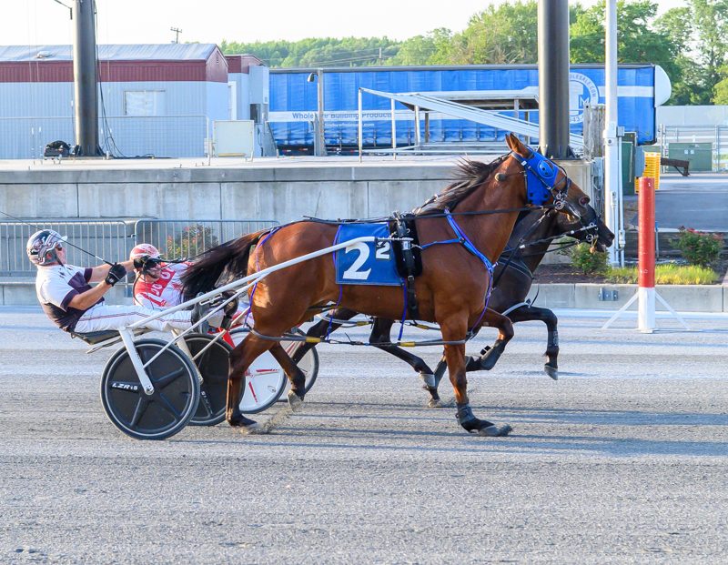 Primo Maschio, Wyatt Earp take out DSBF divisions