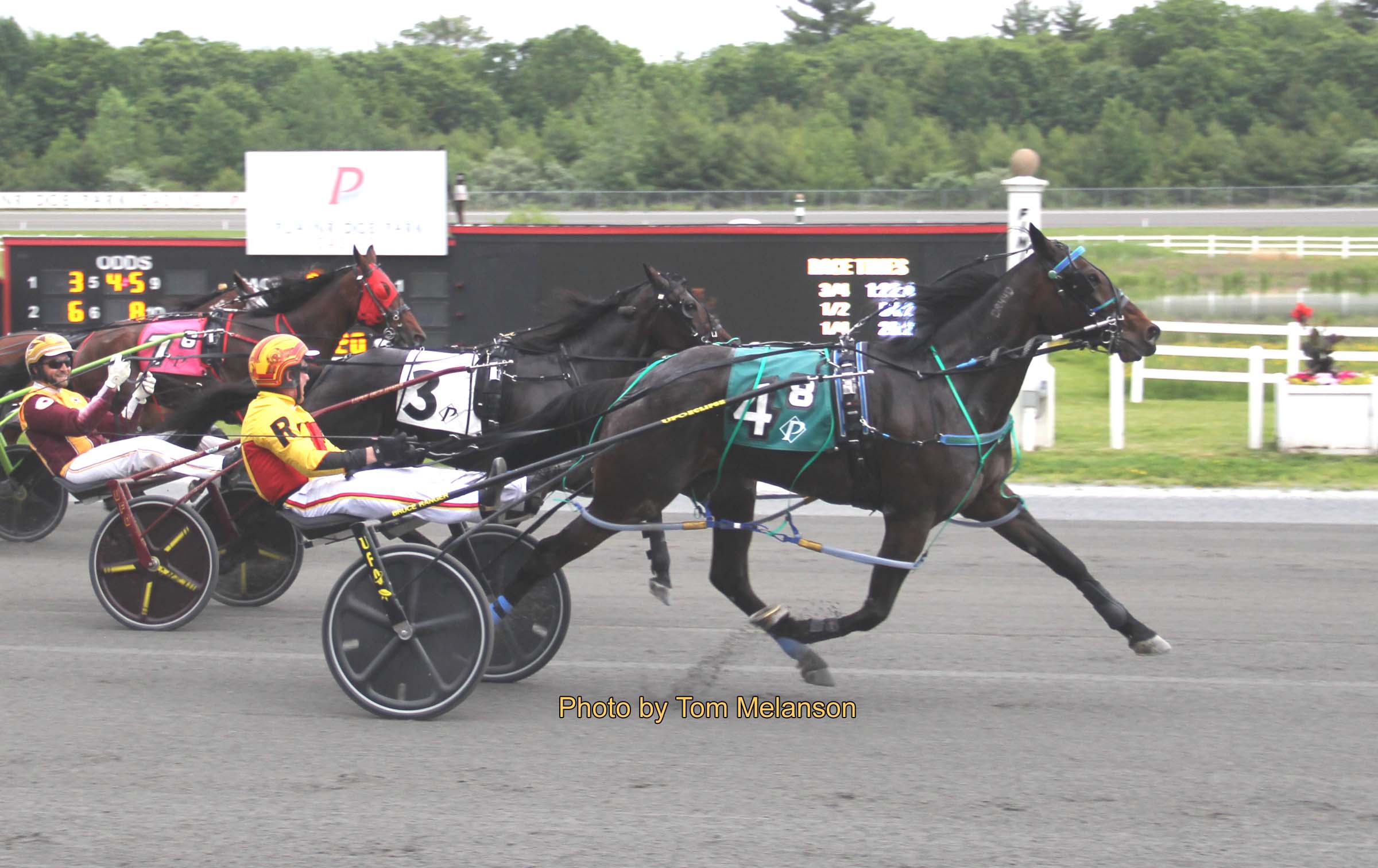 Wainapedia upsets in a lifetime best