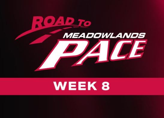 Louprint stays top of Dave Little’s 2025 Road to the Meadowlands Pace