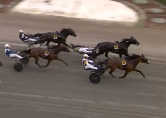 Wise Guy wins E3 Final