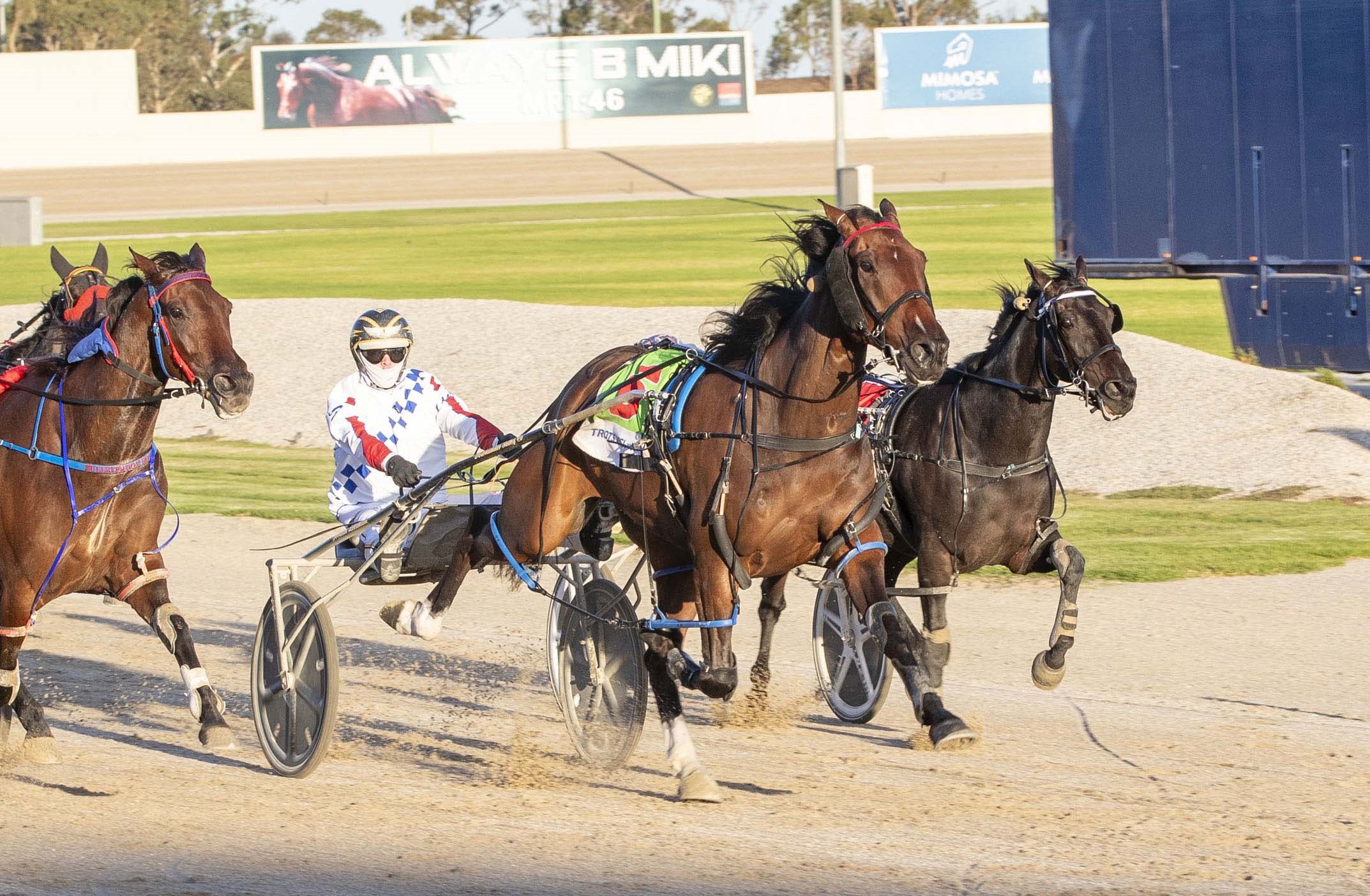 Yambukian surprises his opponents in Free For All win