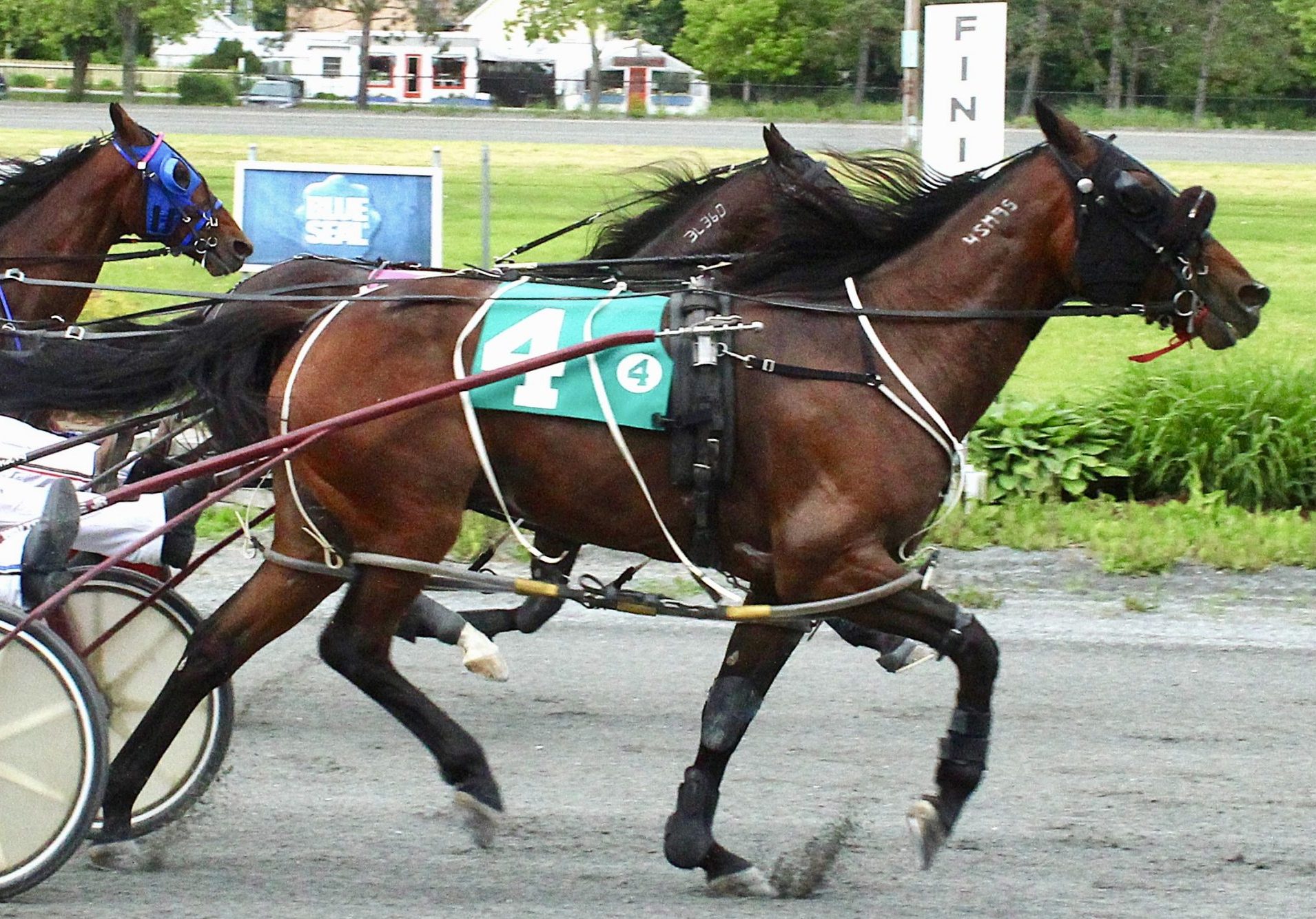 Thayer sweeps Moxie Series with long shots