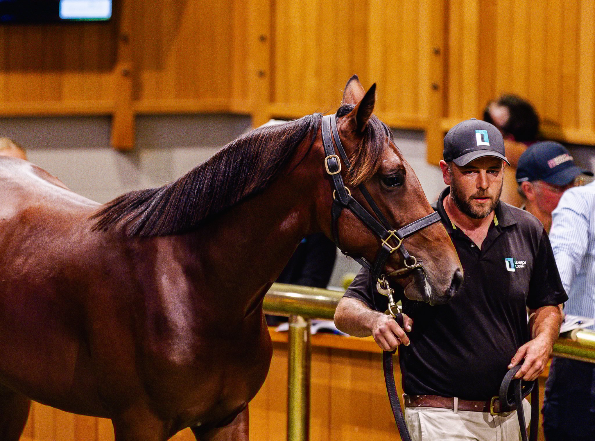 Dual-Code vendor gears up for weanling sales