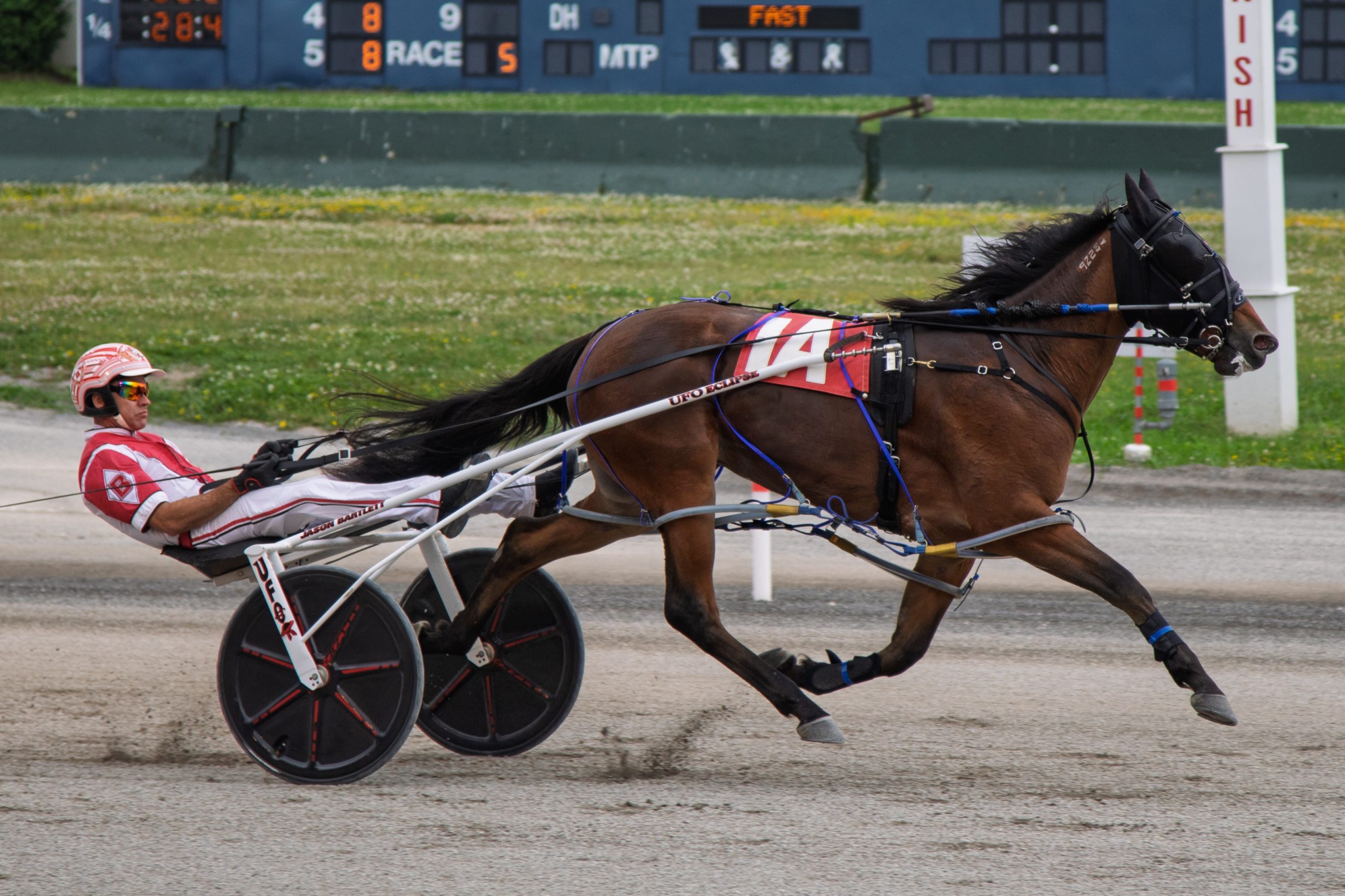 Liberty Style demolishes rivals in style in $112,100 NYSS