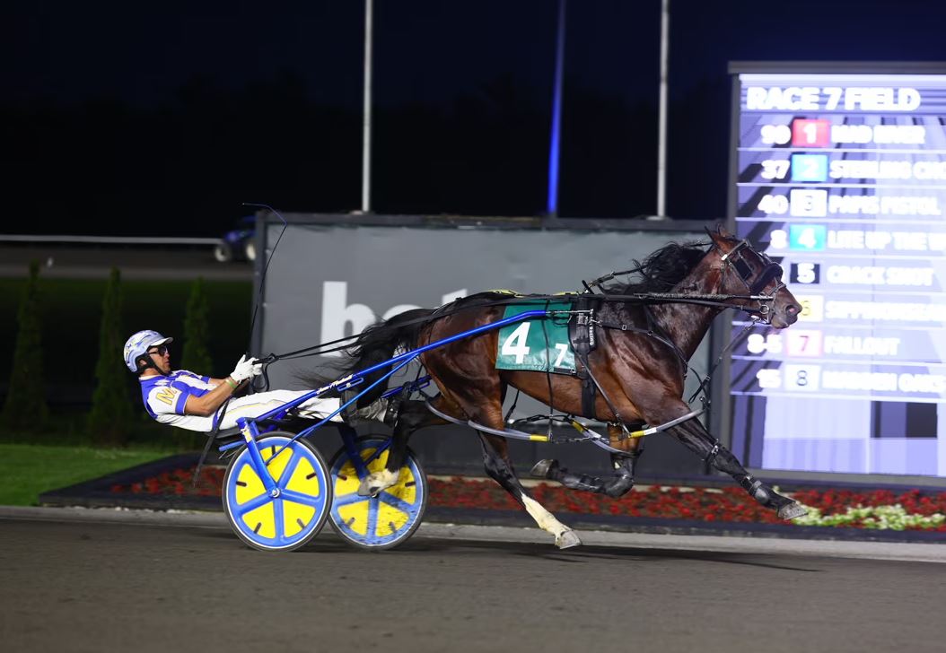 Lite Up The World offers Beaton chance at Cup repeat