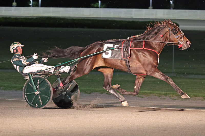 Shes A Shoe In, Monalishi win New York New York Mile contests