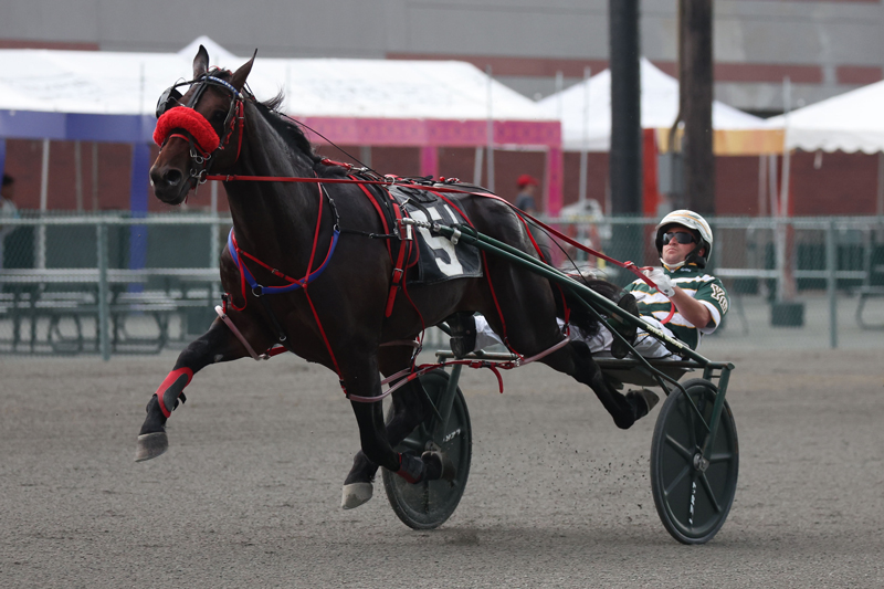 American Ideal colt wins $77,300 pari-mutuel debut