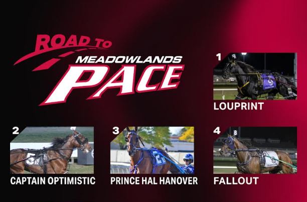 New names on Dave Little’s 2025 Road to the Meadowlands Pace