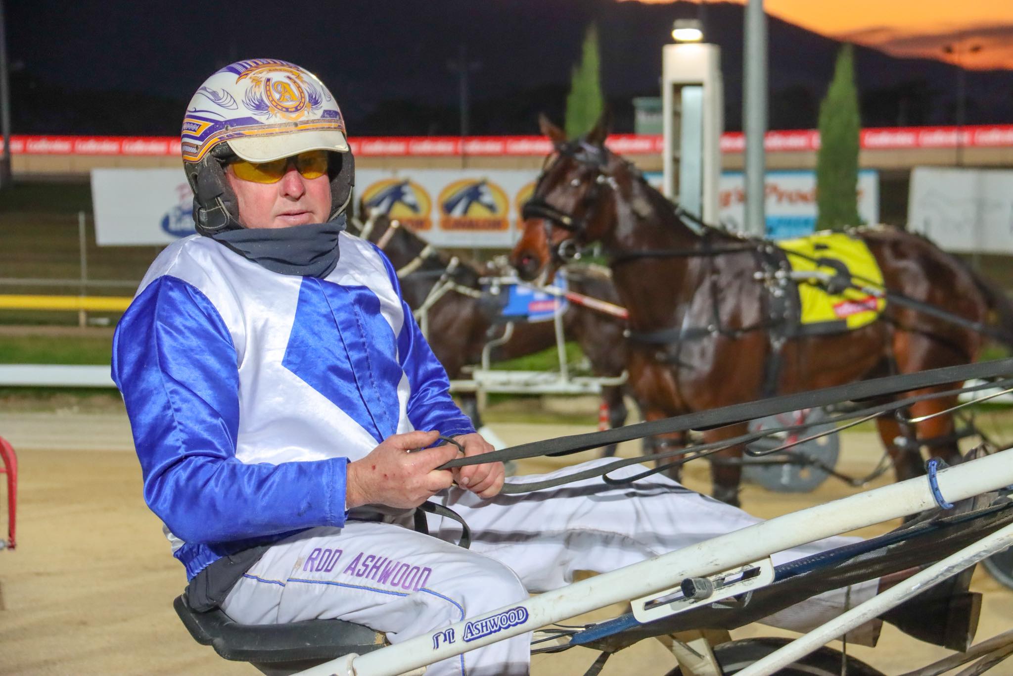 Ashwood notches 500th win in Hobart milestone