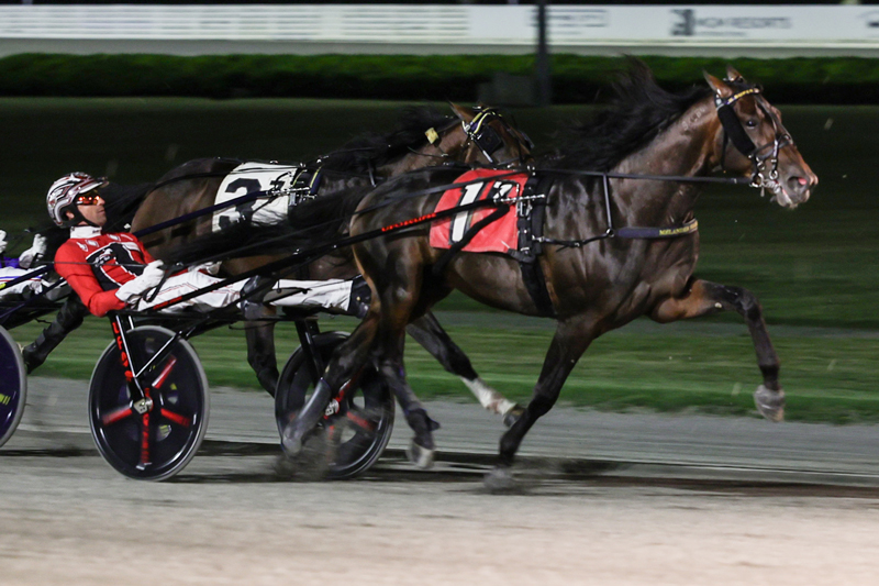 Super Chapter trots away with $300,000 MGM Yonkers Trot