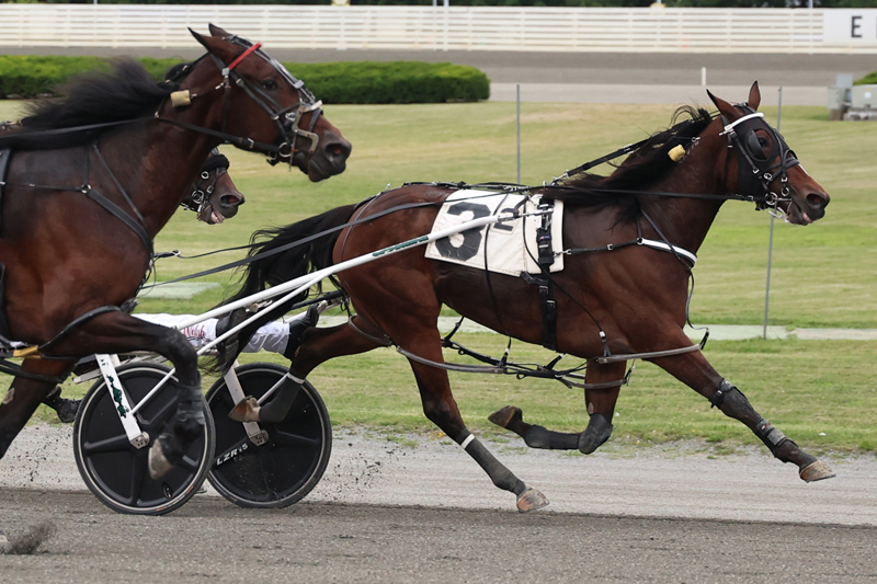 The Last Martini & Mrs Cheese capture Park MGM Pace divisions
