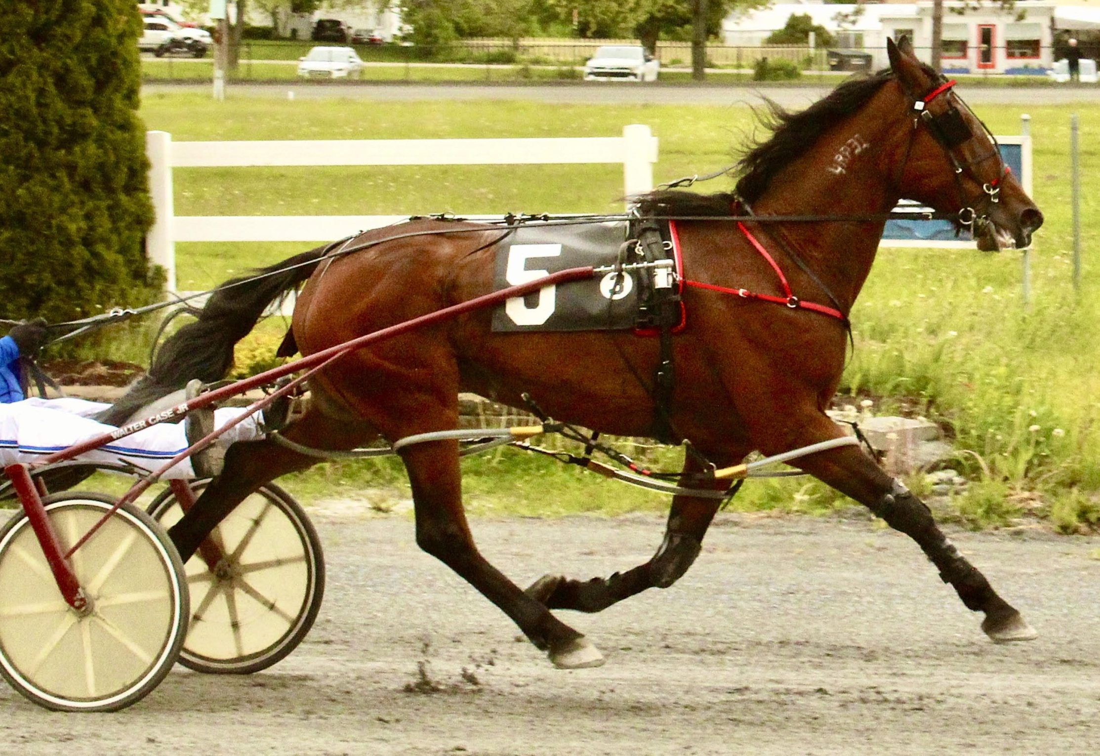 Sisters sizzle sibling-style at Bangor