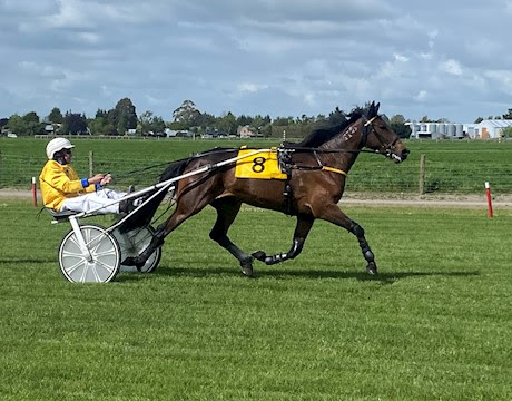 Several race horses up for auction ending Wednesday