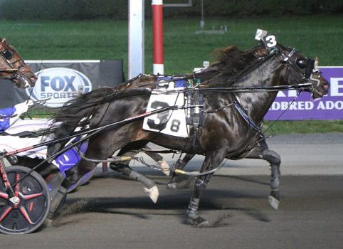 Leading Big M driver hoping to make history