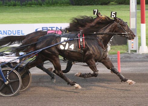 Mr Walner Fashion flashing winning style