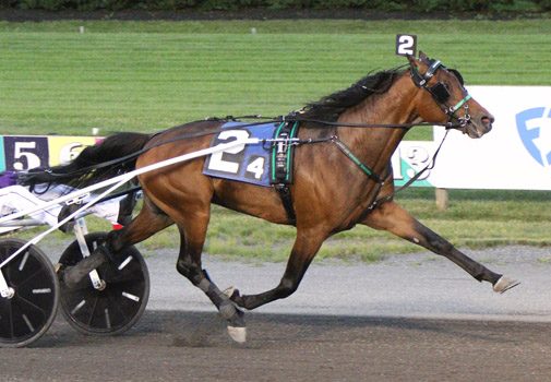 Hambo hopeful wins at Big M