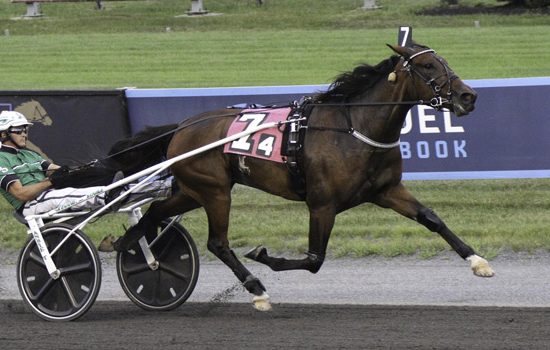 Champion trotting mare Call Me Goo retires