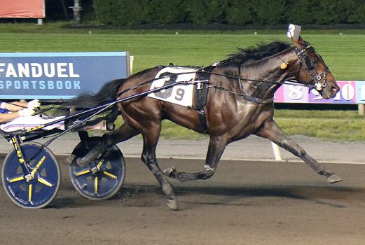 Periculum clinches $164,000 Crawford Farms Open Trot