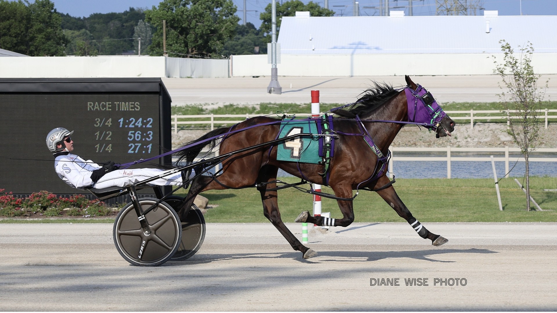 Four sophomore colt pacers secure second BSS wins