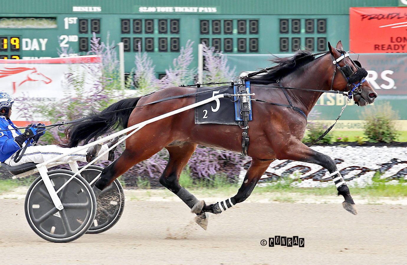 Gillespie hopes to continue run of success