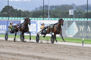 Aiken unfazed by Swayzee showdown