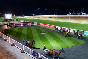 Kiwi bred debutants contest Sweepstakes heats