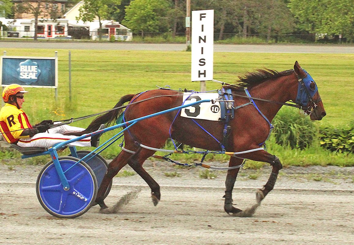 Tardif sweeps Maine Pacing Colt splits