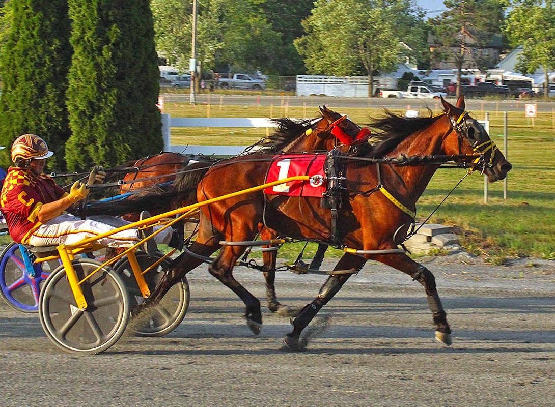 Maine’s 3yo filly pacers shine at Bangor Fair
