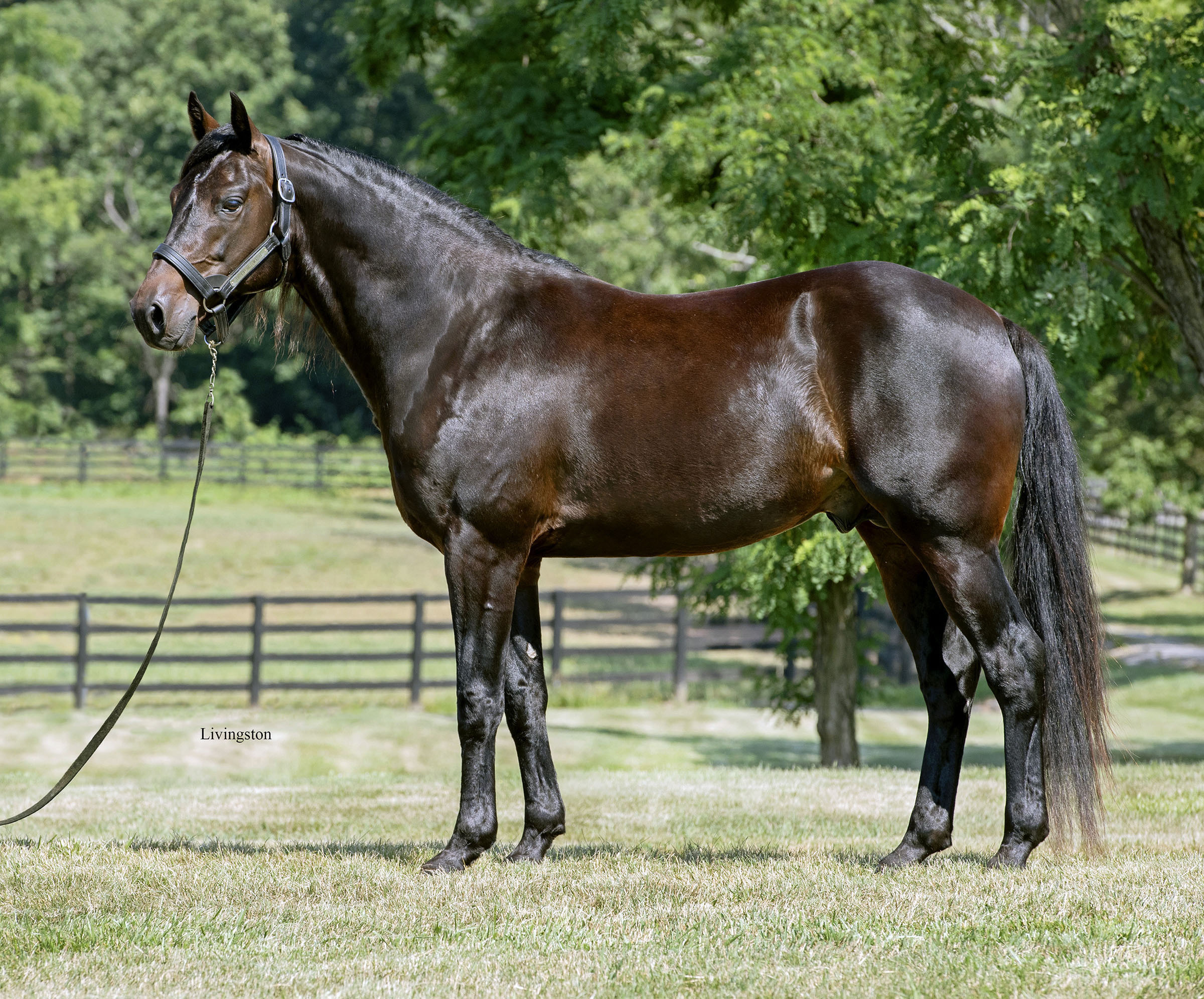 Dancingonmoonlight’s class of 2025