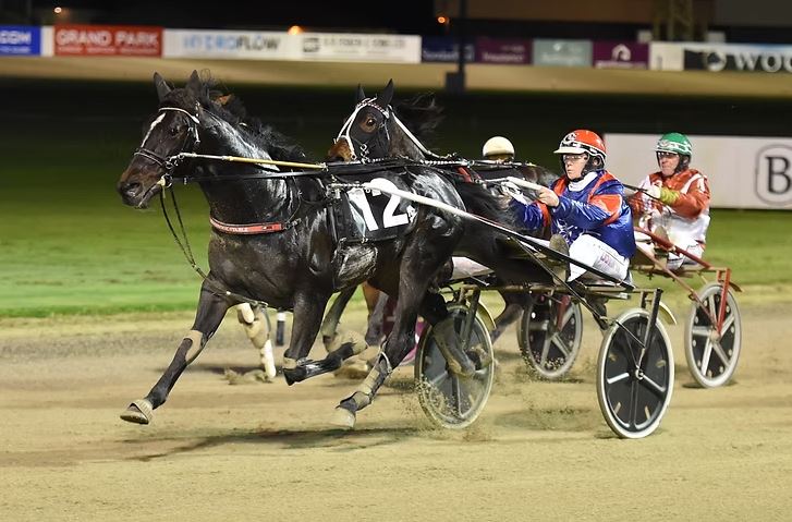 All Cashed Up to stand at Wai Eyre Farm in 2025