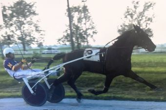 Living his dream ‘unbelievable’ for Miller