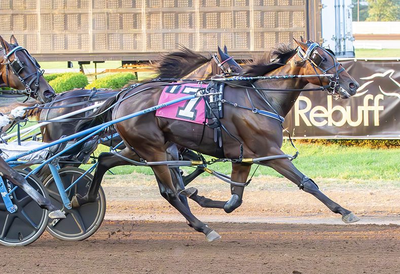 Beautiful Memory upends field at 65-1