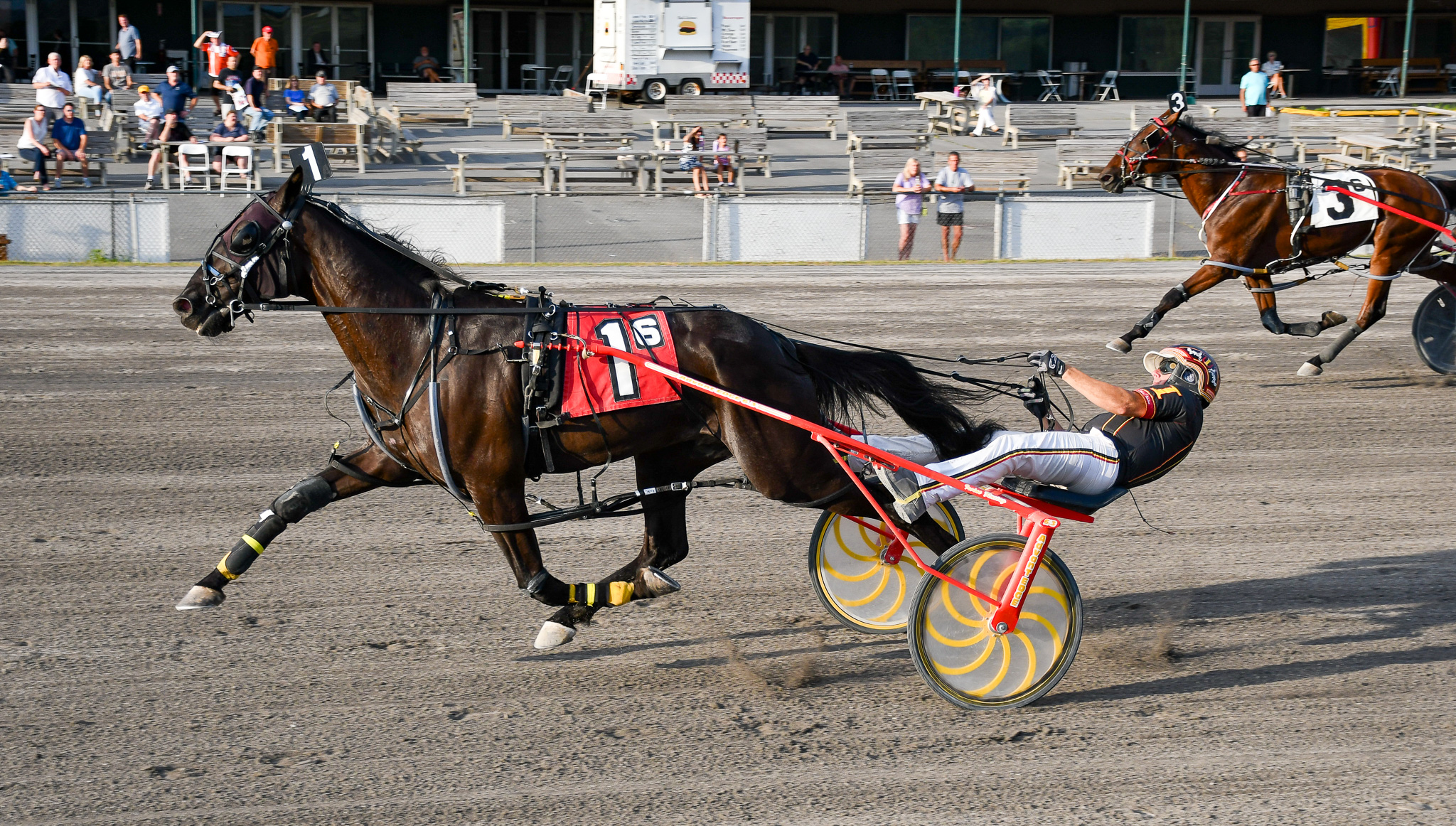 Bettors Donttell flies over the top