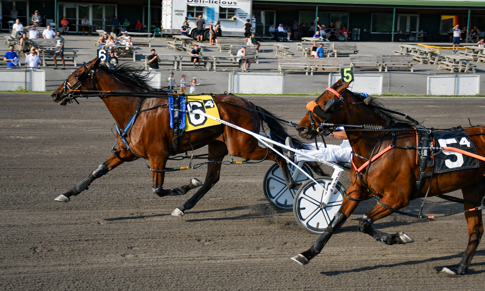 Huntsville gelding tracks down the winning post at Vernon