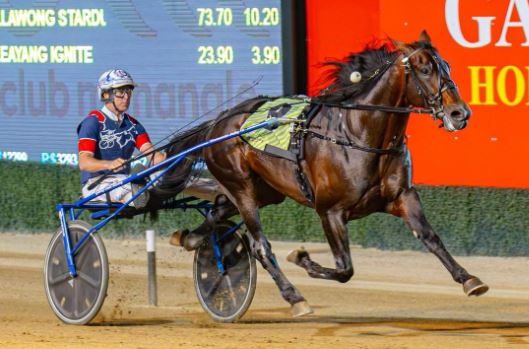 Callmethebreeze retires to stud