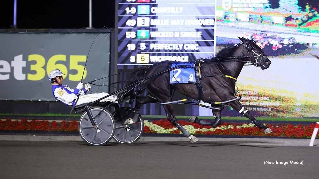 Chantilly stays perfect with OSS Gold Victory