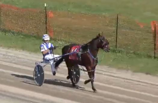 Marathon fair session completed at Clearfield