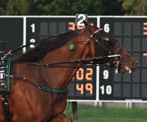 16th $250,000 Joe Gerrity Jr. Memorial Pace set to go
