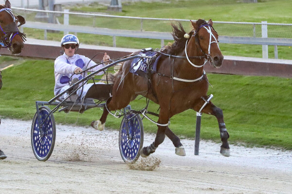 Big guns get set to spring