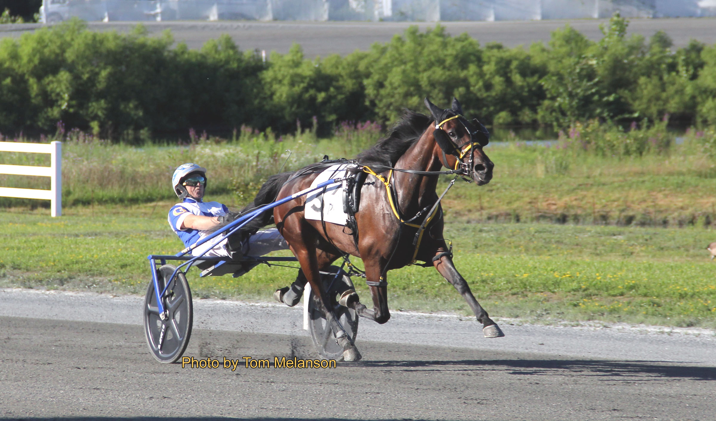 Corner Store, McStoned Again win $17,500 splits