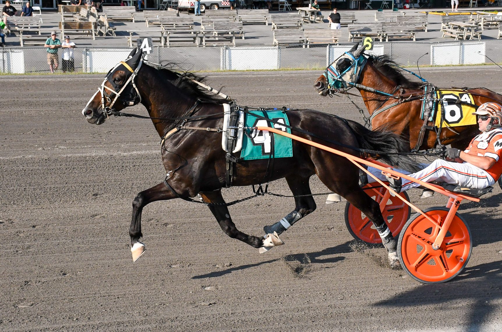 Crazy Wow gelding takes control of feature