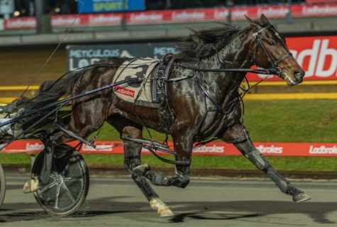 ‘Singo’ locks in exciting 3YO for TAB Eureka tilt