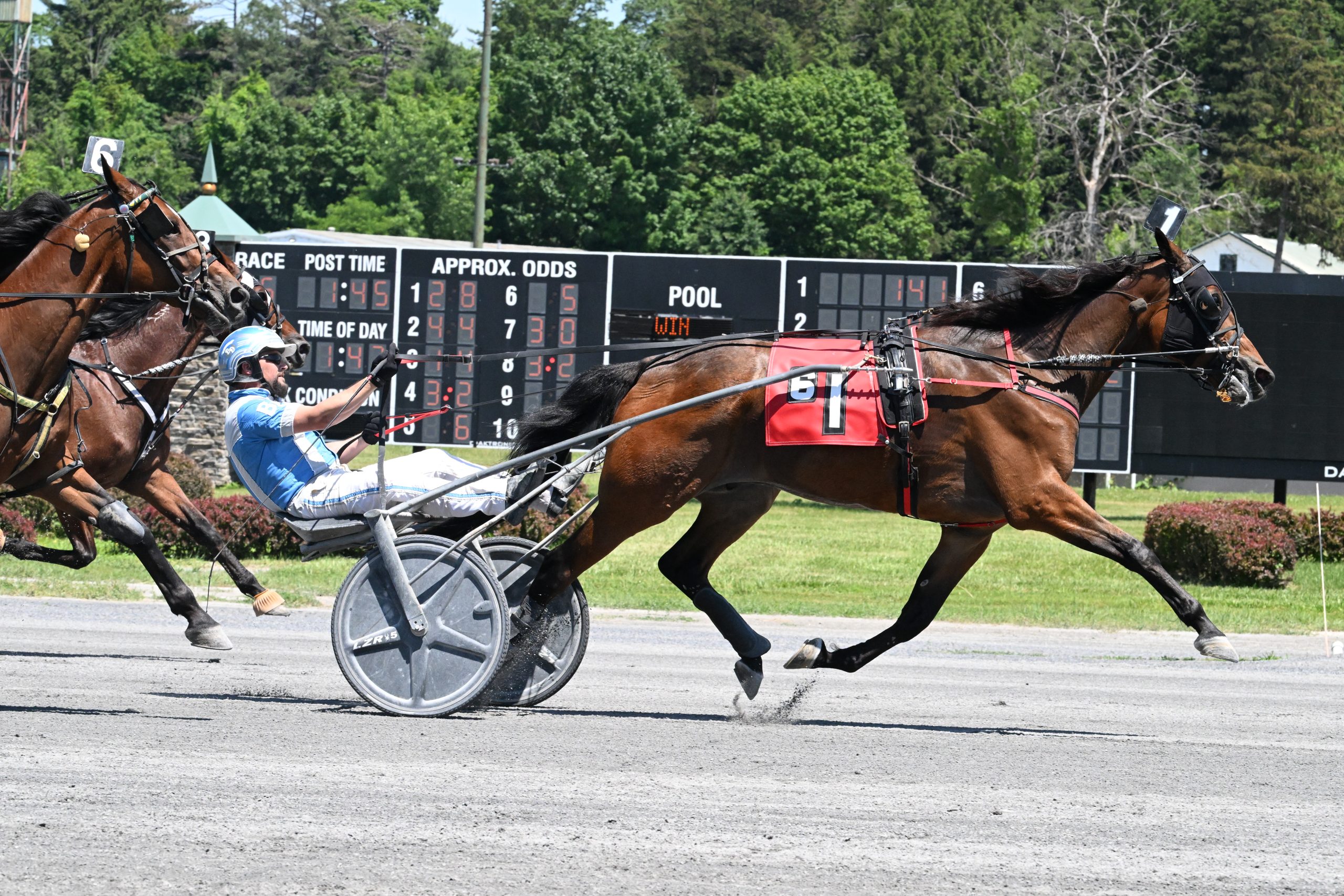 Up Helly AA dismissed at odds but too good