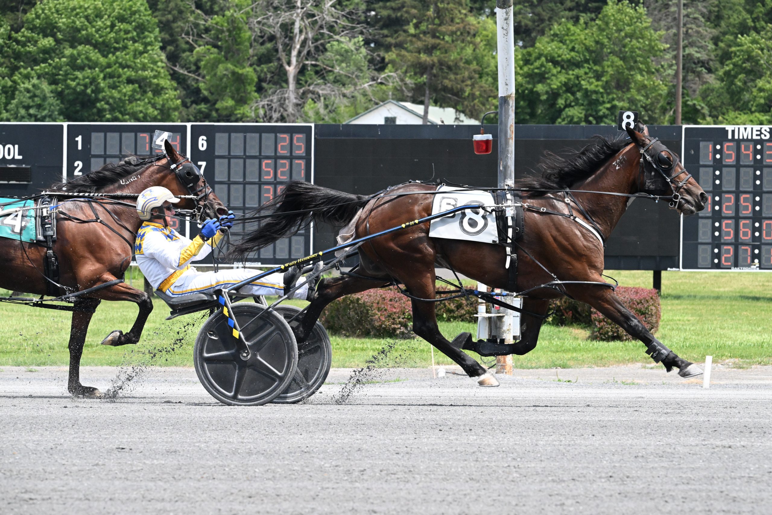 Ex-Kiwi mare continues dominance