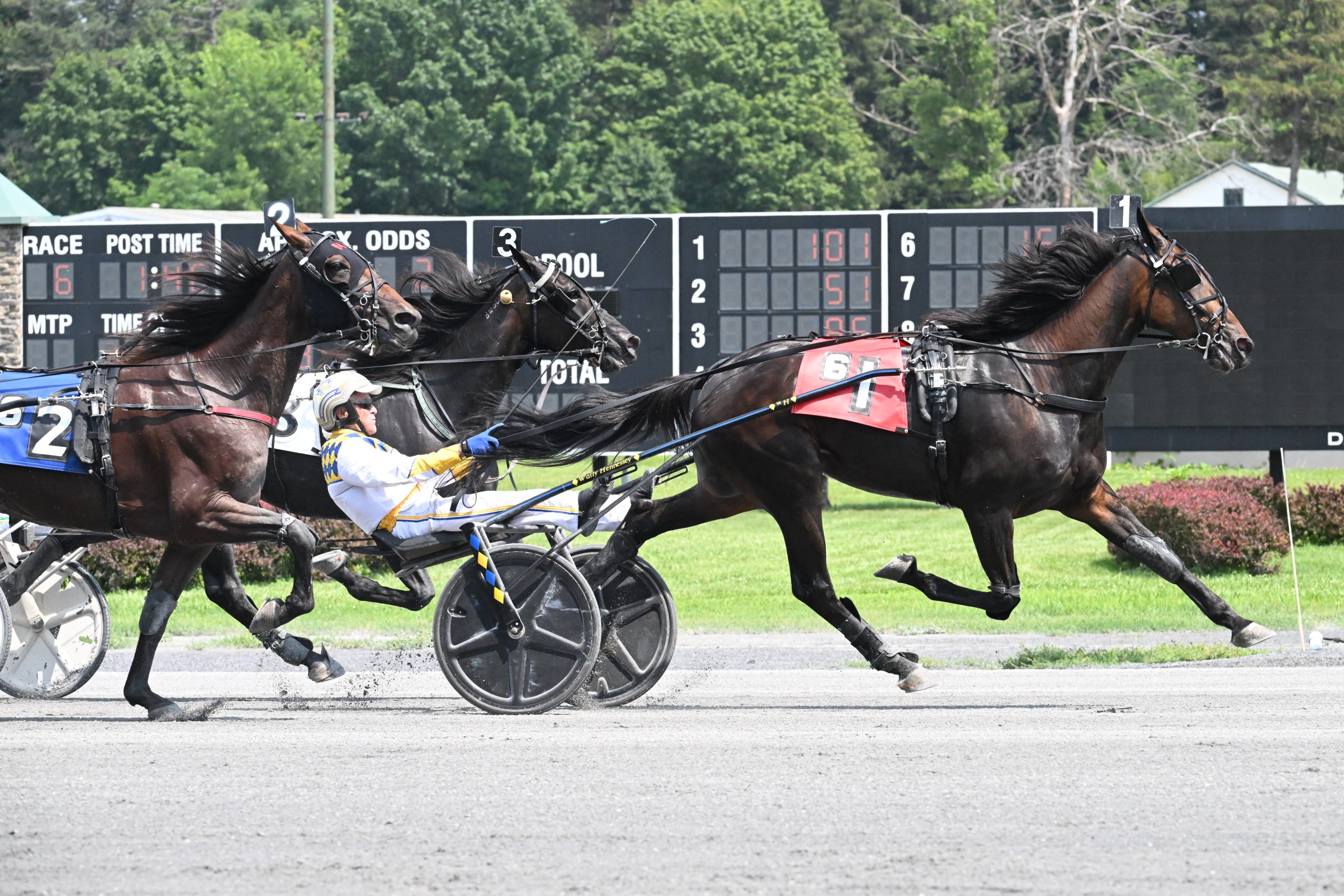 Send It In Hanover wins Open debut