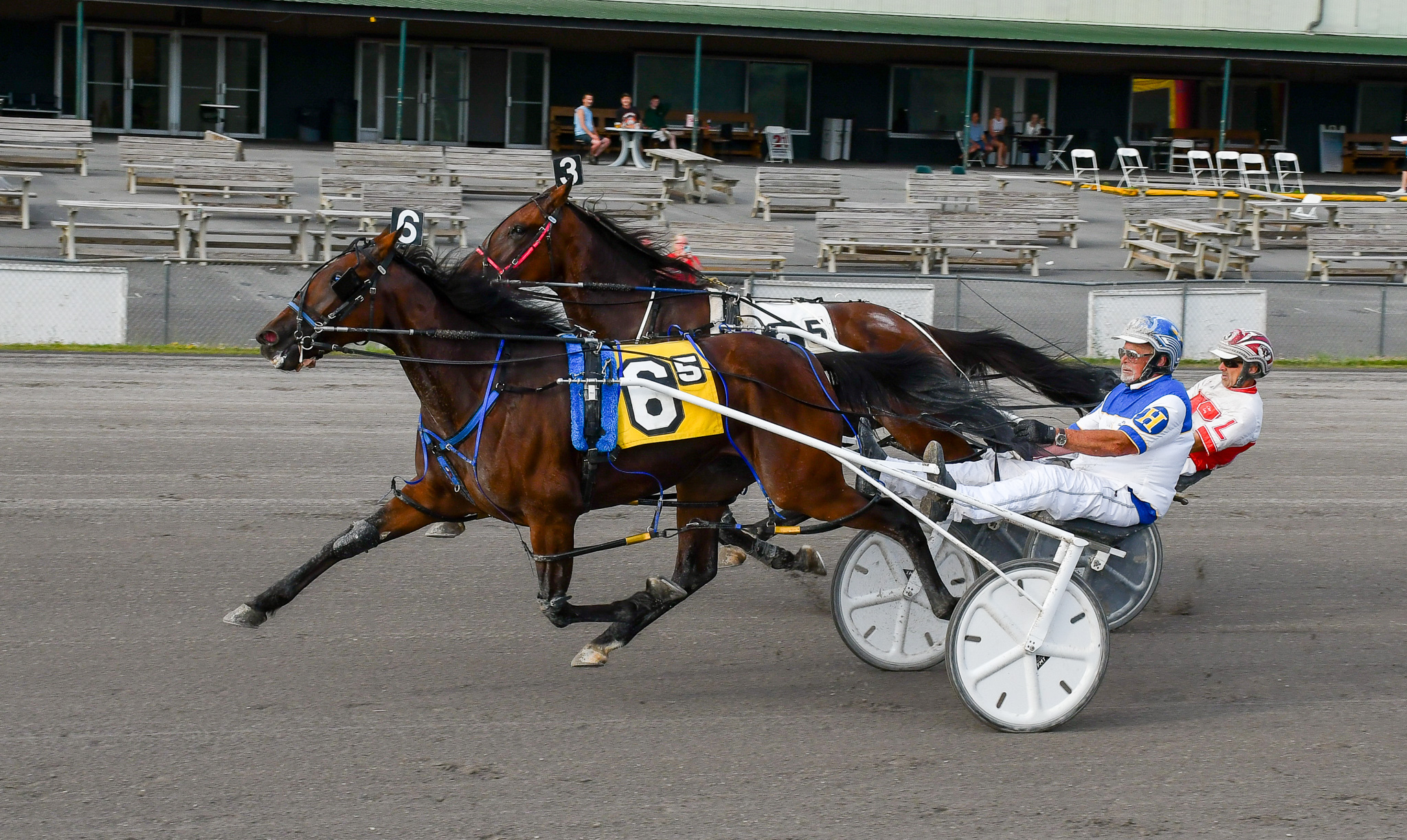 Dizzy Lizzy captures fillies & mares’ pace