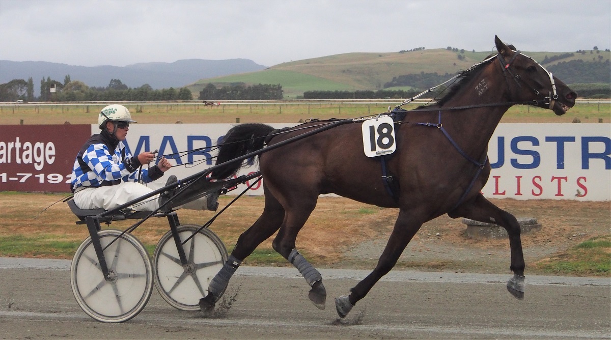 Brad packs six for Ascot