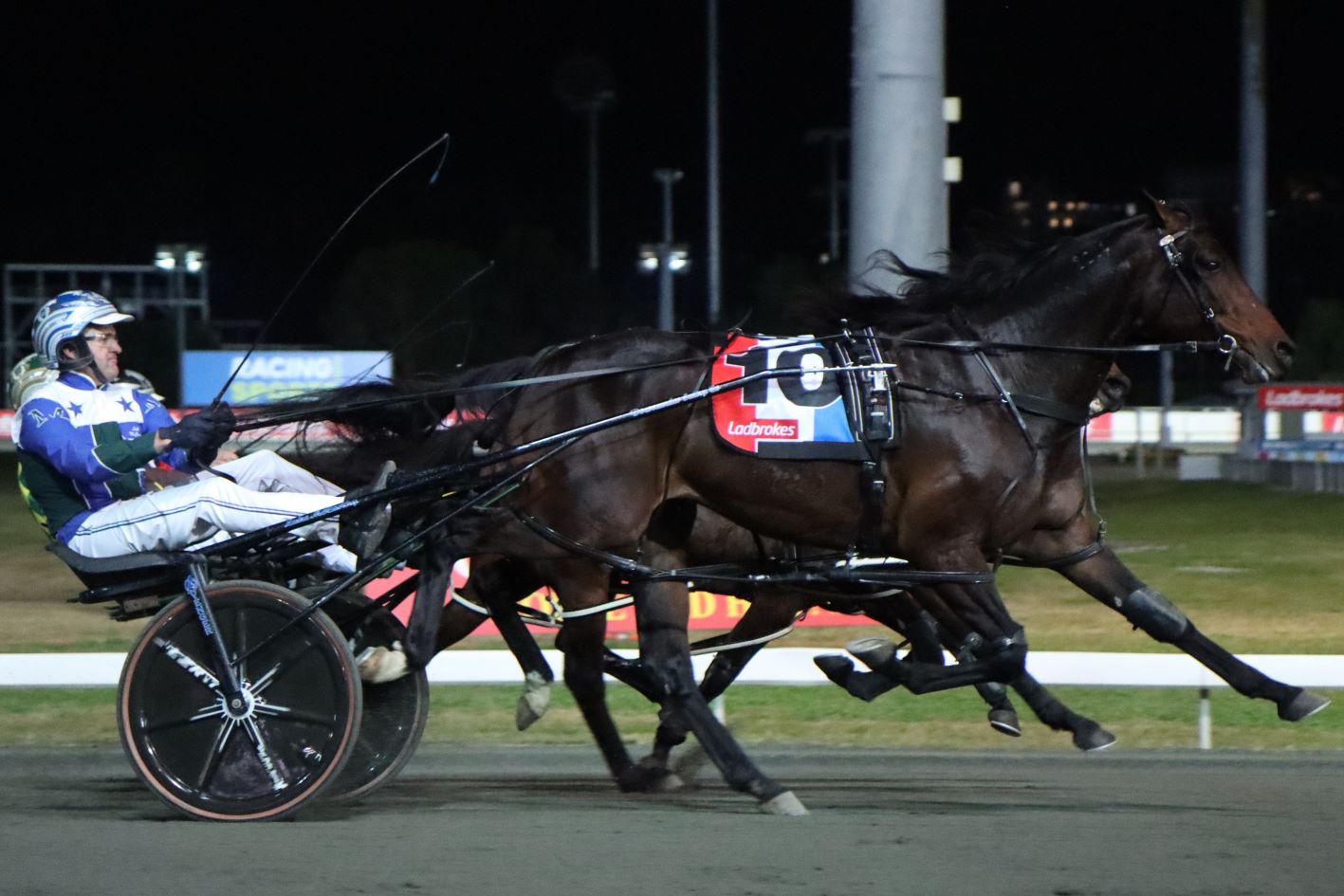 Don Hugo looking good in Inter Dominion Heat success