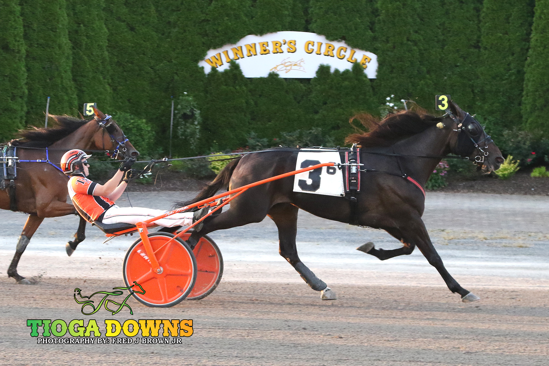 Miller wins four including $16,000 Trot